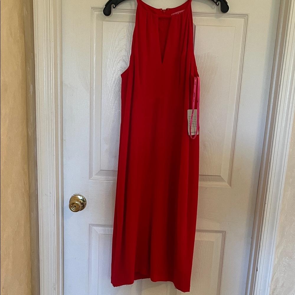 Elegant Red Sleeveless Dress. Size 10.